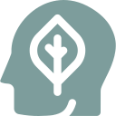 Eco-Conscious Tourism Practices