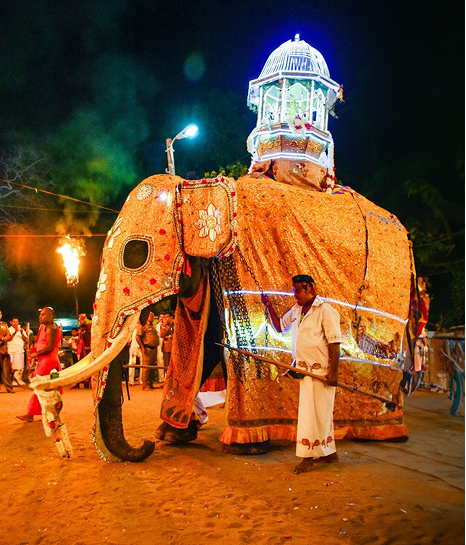 Celebrate Every Season